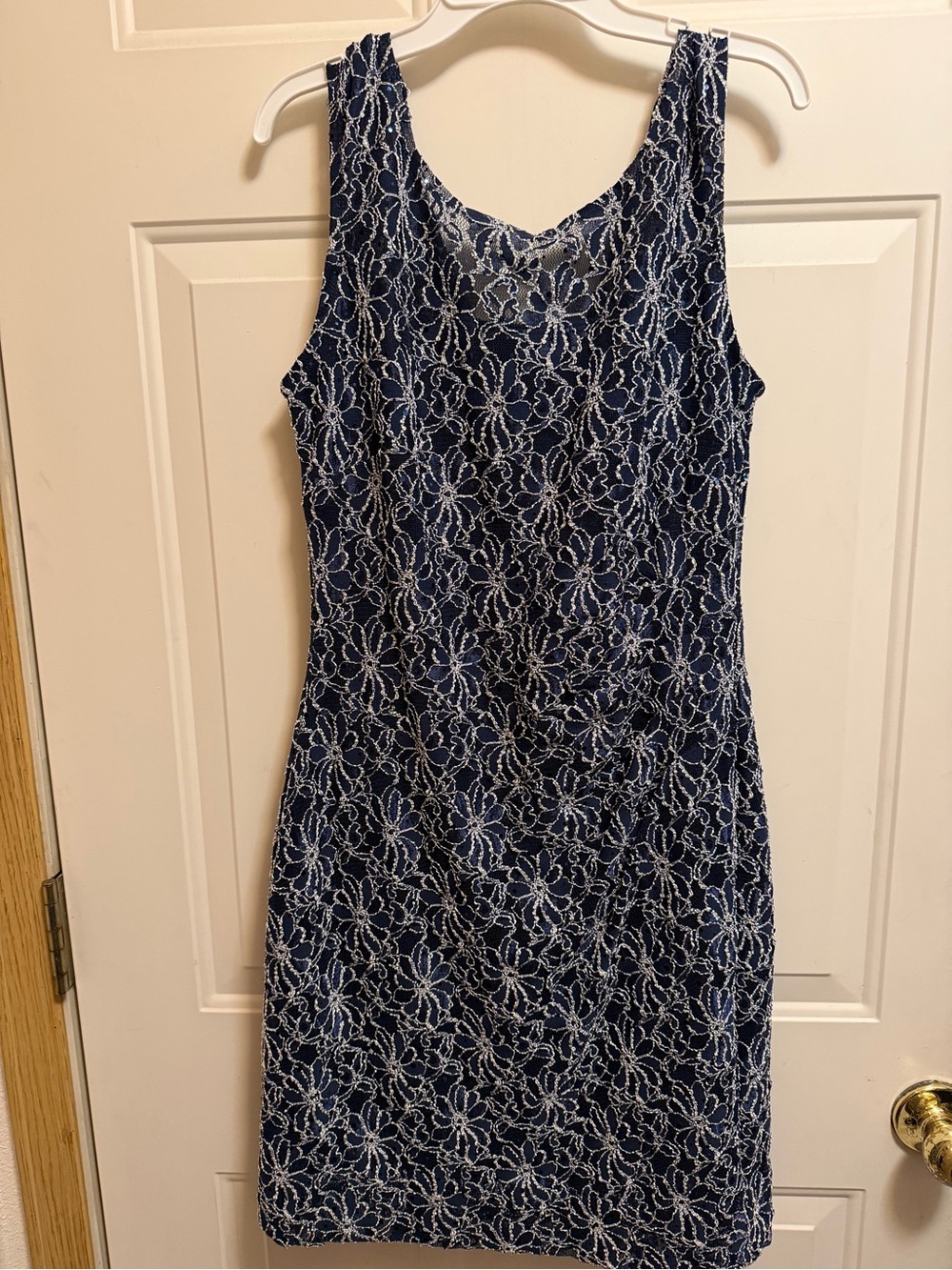 Roz & Ali Navy Dress with White Floral Lace Overlay